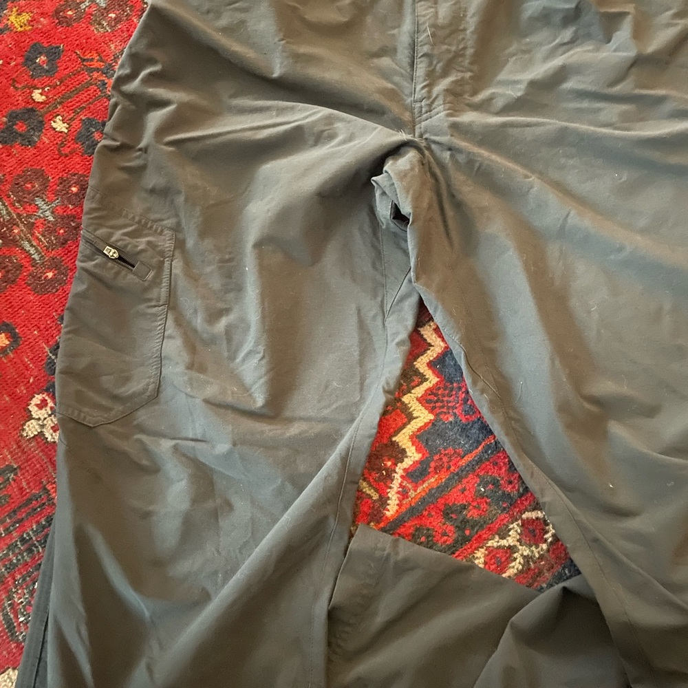 Men’s Patagonia trail pant